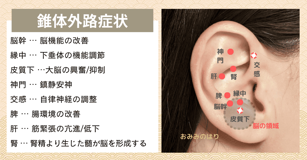 錐体外路症状の耳ツボ耳ばり治療