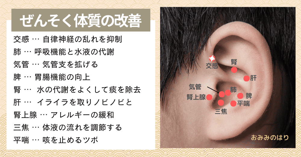 ぜんそく体質を改善する耳ツボ耳ばり治療