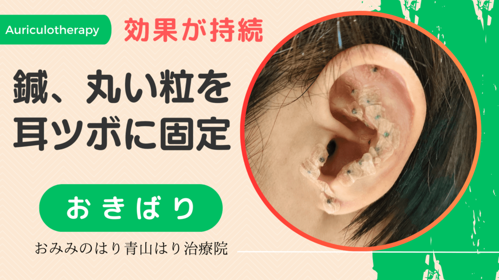 おきばりは、反応が現れている耳つぼに特殊な鍼、または丸い粒をテープで固定します。