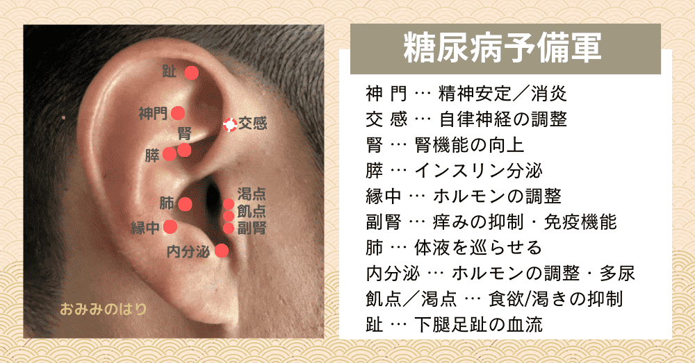 糖尿病を改善する耳つぼ耳鍼治療