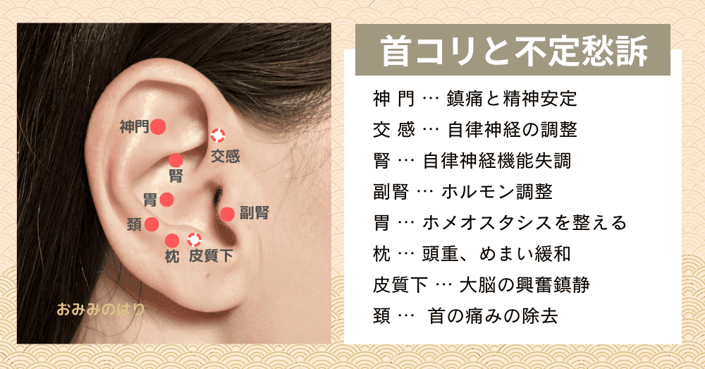 首コリが招くめまいや倦怠感を改善する耳つぼ耳鍼治療