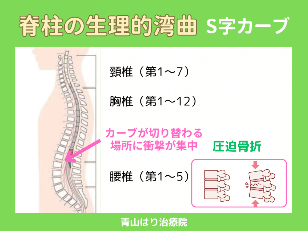 圧迫骨折の好発部位